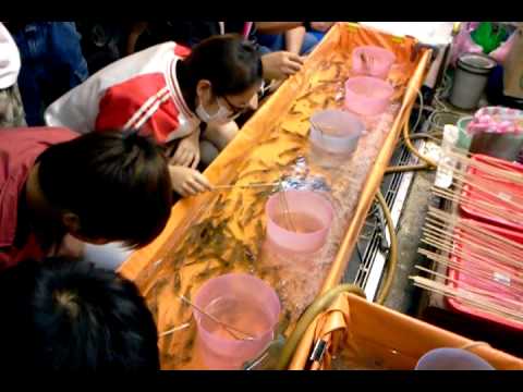 蝦釣り