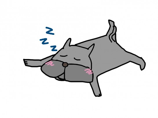 睡眠犬