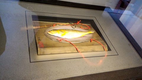 1階廊下の展示物