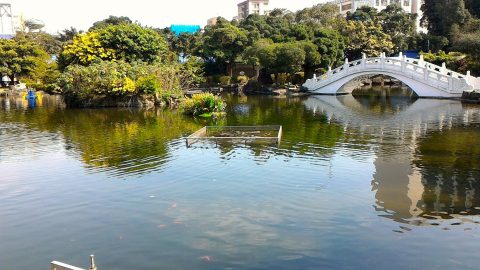 中正紀念堂北側の庭1