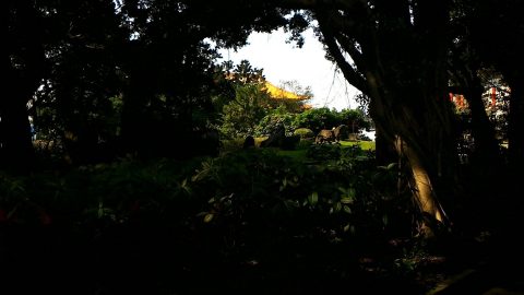 木の間から歌劇場