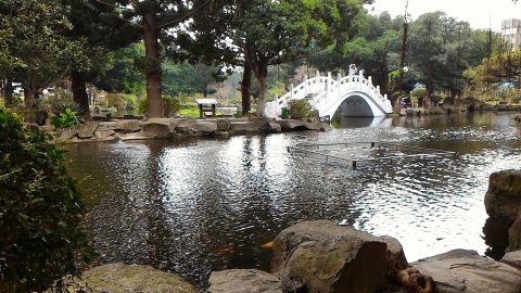 紀念堂南側庭園2