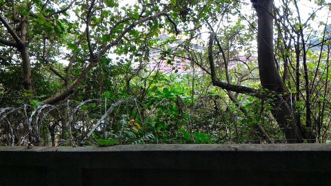 圓山風景区８