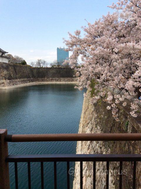 桜と一番櫓