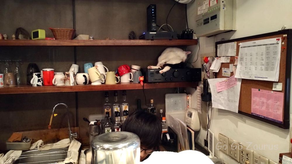 アンプの上にも猫が