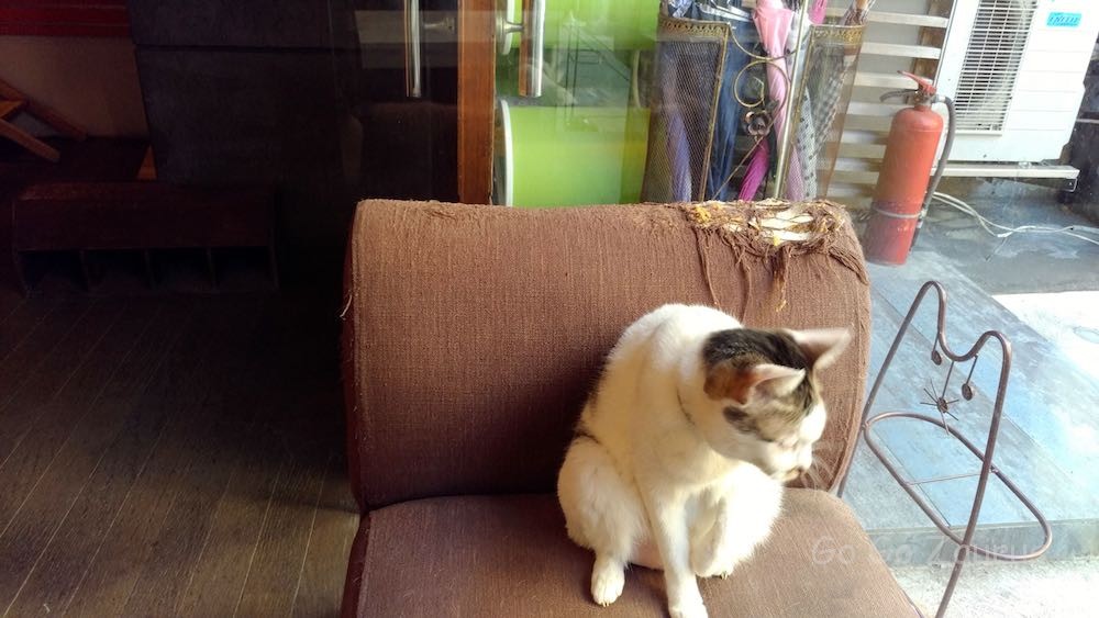 猫爪の餌食になった椅子