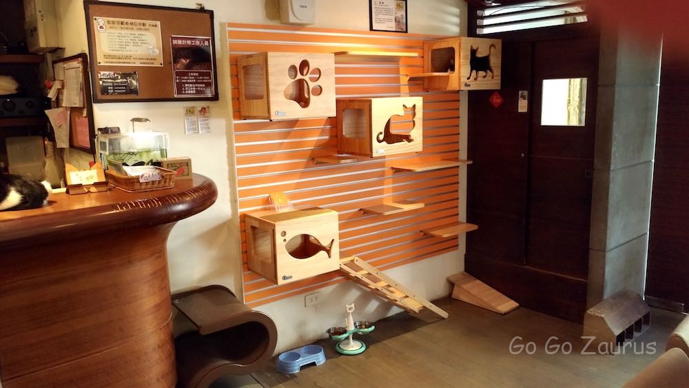 猫の遊び場