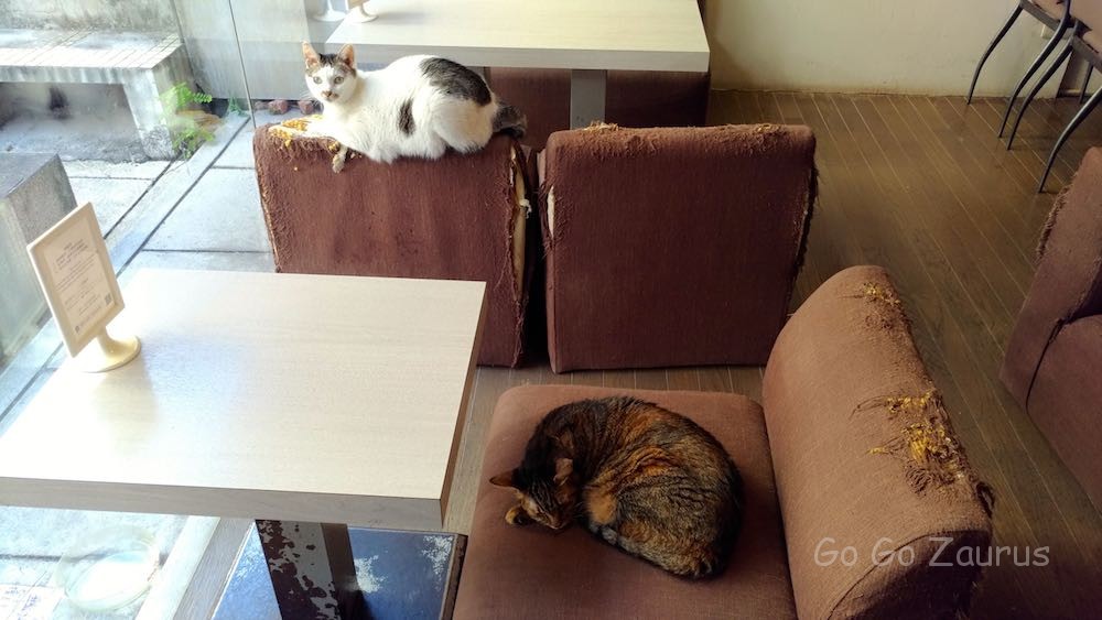猫は客以上?