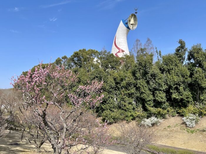 太陽の塔と梅の花